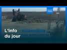 L'info du jour | 10 mars 2026 - Mi-journée