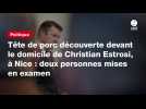 VIDEO. Tête de porc découverte devant le domicile de Christian Estrosi, à Nice : deux personnes mises en examen