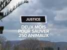 Sécurité et soins des 250 animaux : le tribunal administratif valide la fermeture du zoo des 3 Vallées