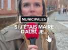 Si j'étais maire d'Albi, je...