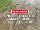 Une exploitation maraîchère sous l'eau !