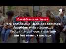 VIDEO. Parc zoologique, droit des femmes, dauphins en bretagne... : l'actualité qui vous a marqué sur les réseaux sociaux