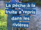 Le long de la Durdent, la reprise de la pêche à la truite attire les pêcheurs amateurs