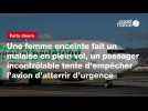 VIDÉO. Une femme enceinte fait un malaise en plein vol, un passager incontrôlable tente d'empêcher l'avion d'atterrir