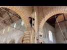 Du cirque aérien au coeur de la collégiale Saint Martin