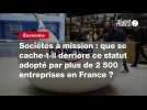 VIDÉO. Sociétés à mission : que se cache-t-il derrière ce statut adopté par plus de 2 500 entreprises en France ?