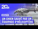 Un chien sauvé de la noyade par un équipage d'hélicoptère