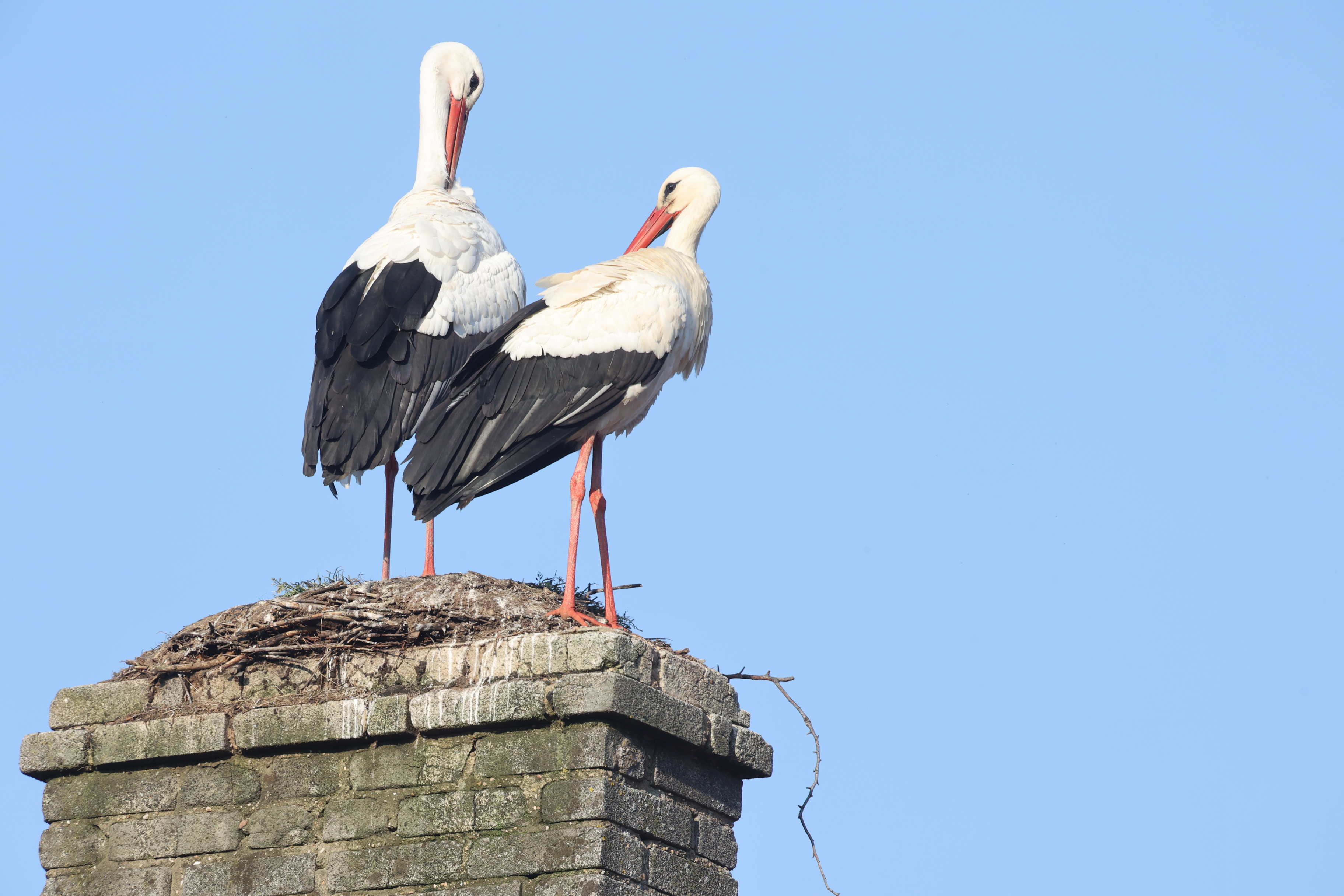 Vidéo. $content.TitleNoTags