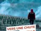 Pratique - Le gel est de retour en France : les bons réflexes pour protéger ses végétaux