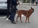 La brigade canine est arrivée au lycée du Hainaut suite à une alerte à la bombe