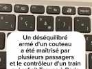 Un déséquilibré armé maitrisé par des passagers dans le train entre Troyes et Paris lundi soir