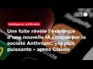 VIDEO. Une fuite révèle l'existence d'une nouvelle IA conçue par la société Anthropic....