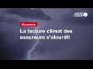 VIDÉO. La facture climat des assureurs s'alourdit