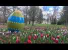 CHEVERNY / La vague de tulipes est de retour !