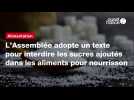 VIDÉO. L'Assemblée adopte un texte pour interdire les sucres ajoutés dans les aliments pour nourrisson