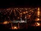 VIDÉO. « Il faut sauver la récolte » : nuit de lutte contre le gel dans le vignoble de Chablis