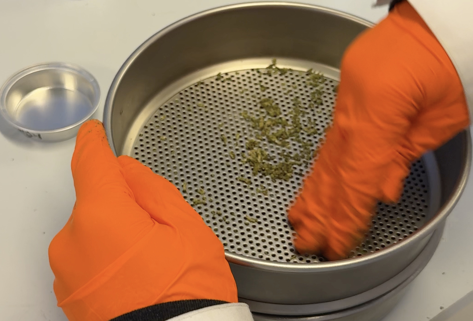 Reportage. $content.TitleNoTags