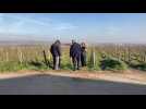 Gel : les vignerons de Vouvray en veille