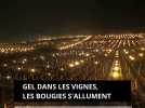 Gel dans les vignes, les bougies s'allument