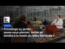 Printemps au jardin : savez-vous planter, tailler et tondre à la mode du lycée horticole de Raismes ?