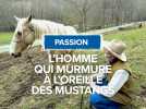Passion : l'homme qui murmure à l'oreille des mustangs