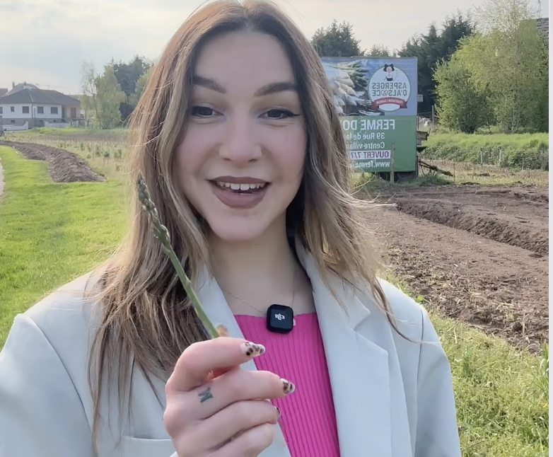 Pourquoi Hoerdt est-elle la capitale de l'asperge ?