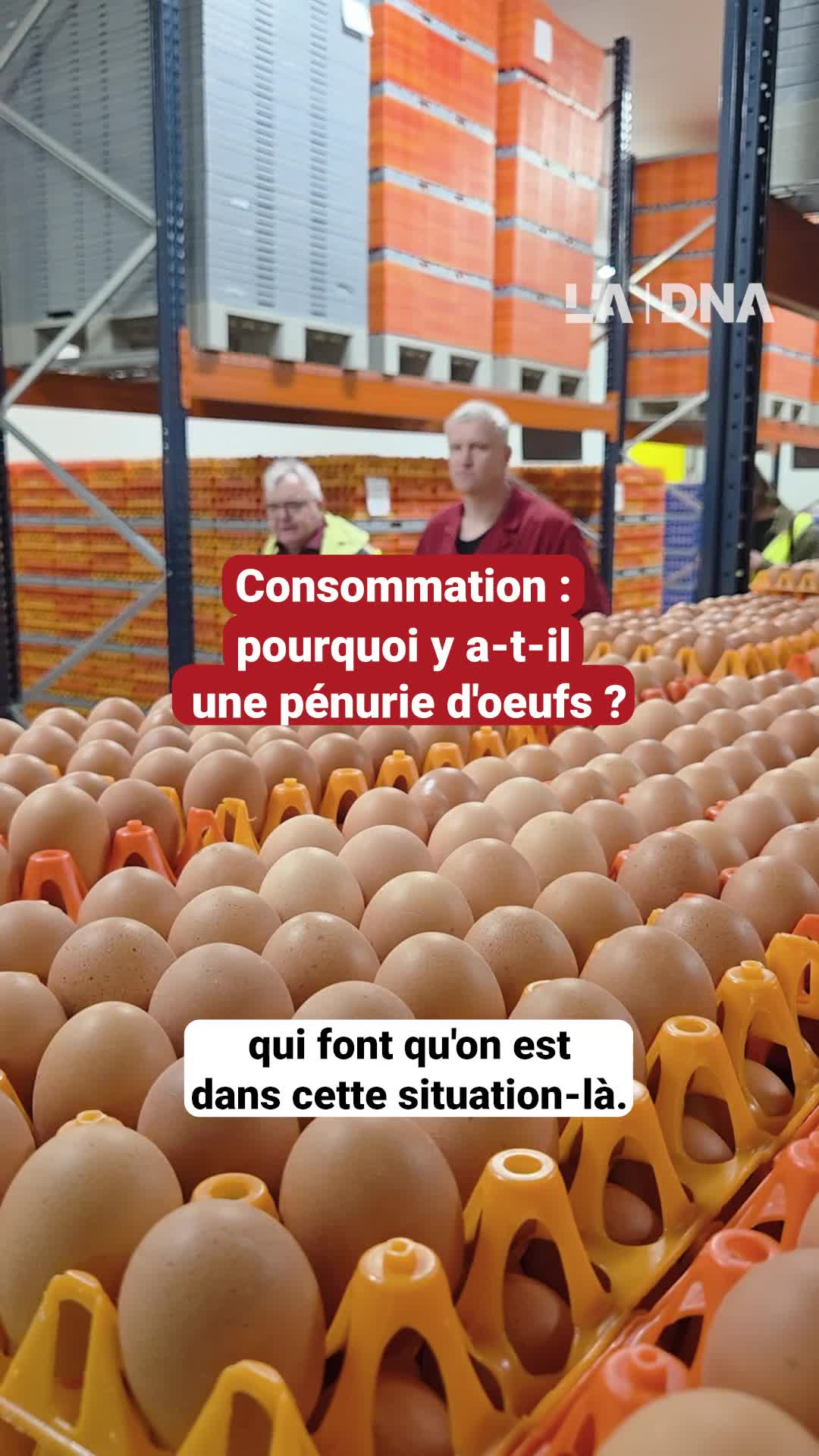 Vidéo. $content.TitleNoTags