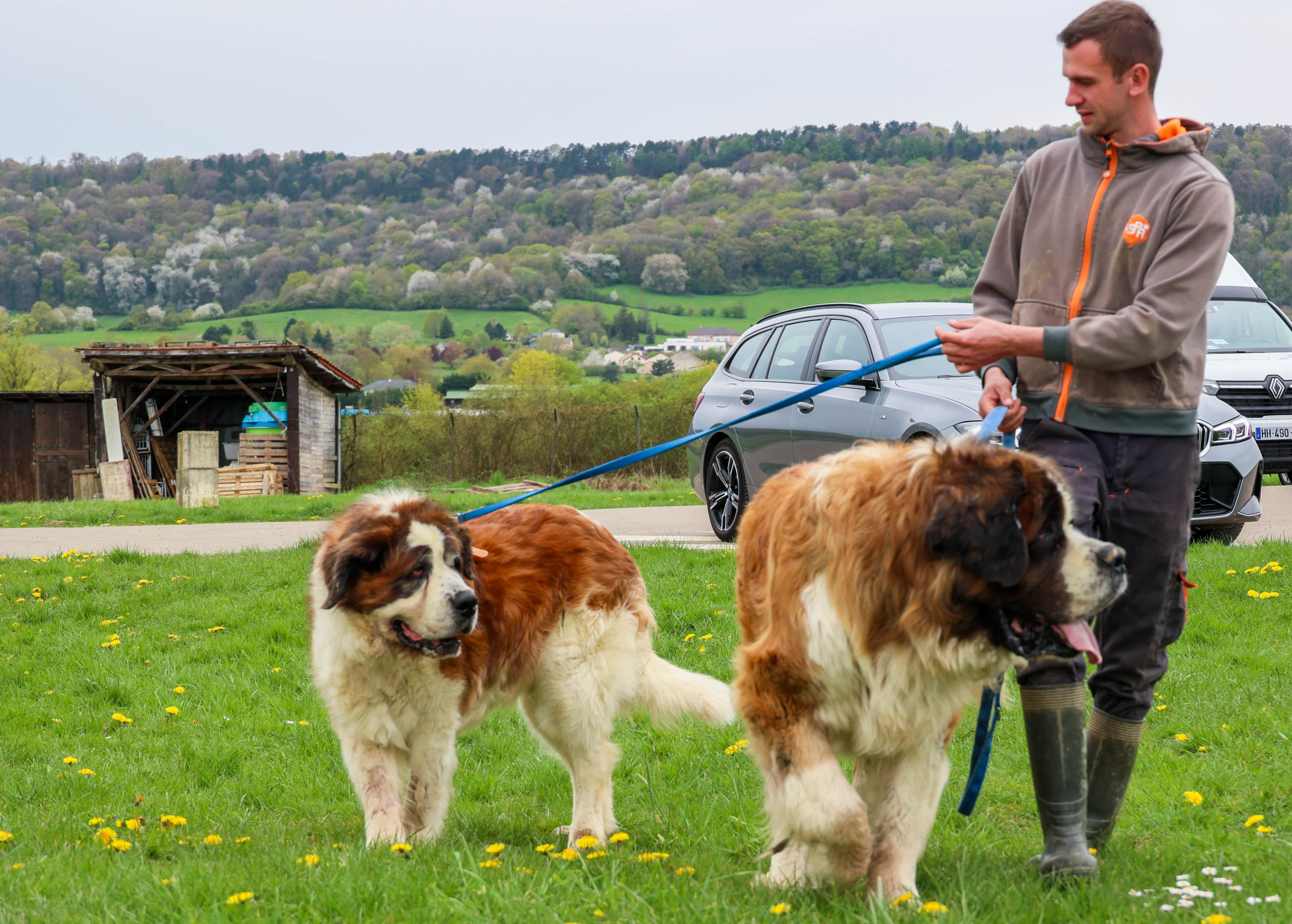 Vidéo. $content.TitleNoTags