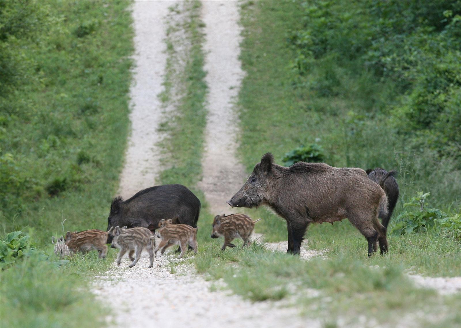 Vidéo. $content.TitleNoTags