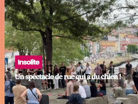 VIDEO : Insolite : Un spectacle qui a du chie&hellip;