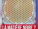 A-t-on enfin détecté la matière noire ?