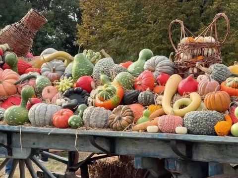 VIDEO : La Potironnerie f�te ses 30 ans !