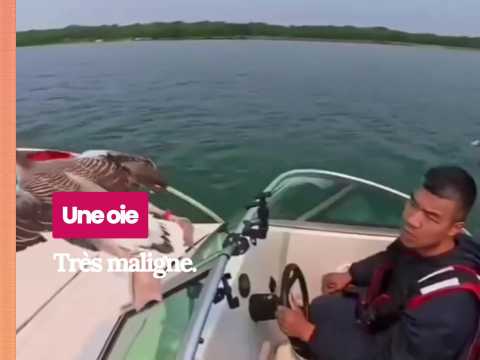 VIDEO : Au moins une qui ne dormait pas en co&hellip;