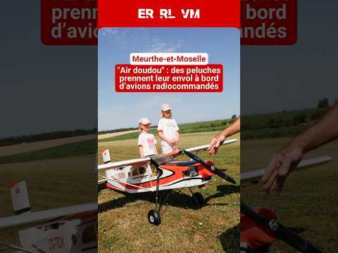 "Air doudou" : des peluches prennent leur envol