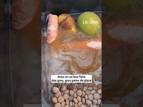 Glaces, bains et douches comment le zoo de Mulhouse fait face à la canicule