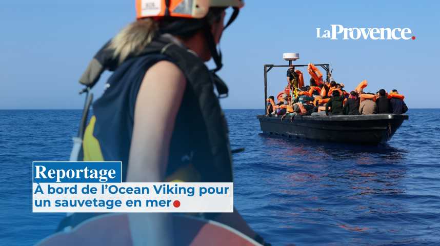 Les collégiens d'Henri Fabre, à Vitrolles, récompensés par la fondation Tara Ocean