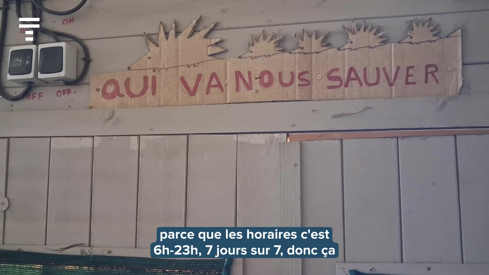 « Pas un jour de repos en 17 ans » : à Languidic, ce centre de soins pour animaux appelle à l’aide