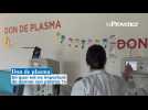 Vid�o En quoi est-ce important de donner son plasma ?