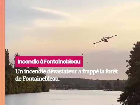 VIDEO : Incendie de Fontainebleau : Une sc�ne insolite aux portes de Paris !
