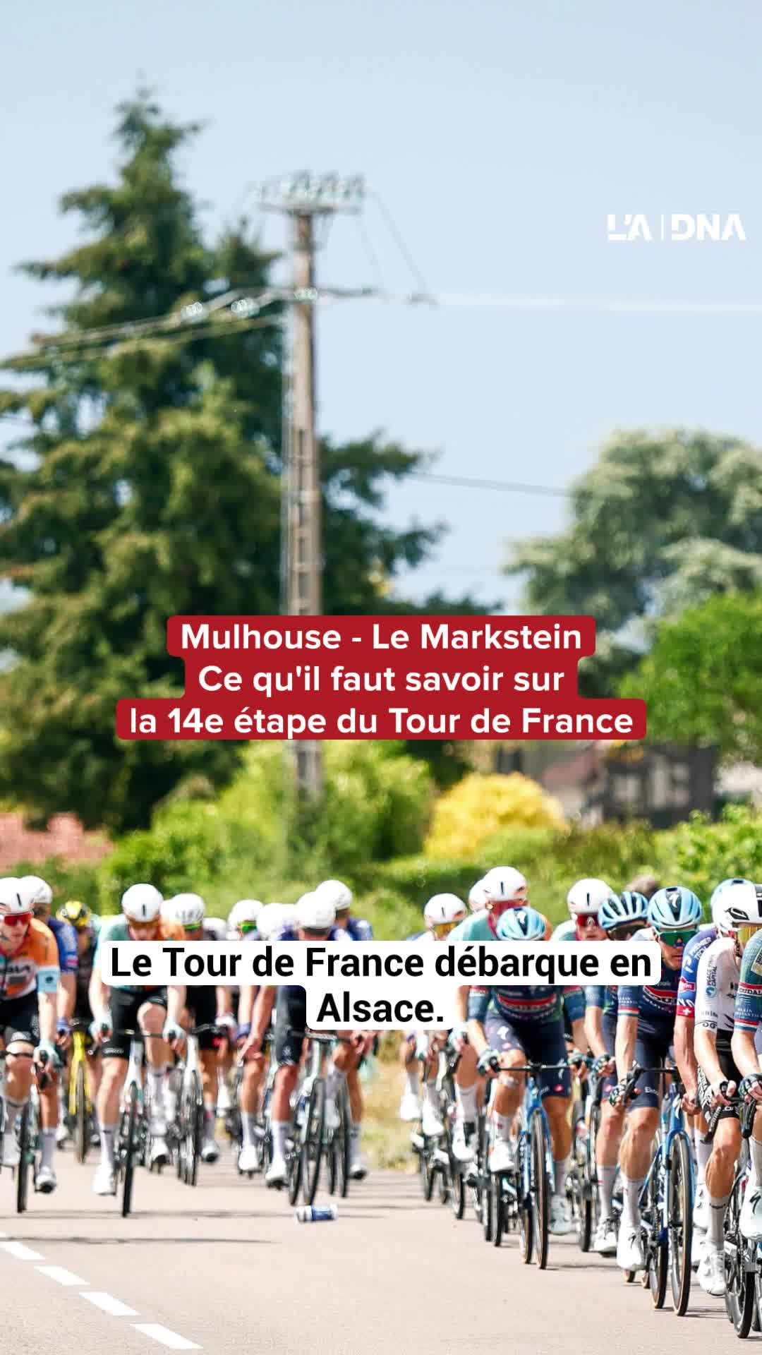 Les grimpeurs attendus, les favoris aussi. Les enjeux de l'étape du Tour de France entre Mulhouse et Le Markstein