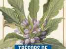 Vélins, trésors de l’illustration naturaliste