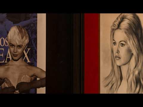 VIDEO : 285 objets du quotidien de Brigitte B&hellip;