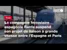VIDÉO. La compagnie ferroviaire espagnole Renfe suspend son projet de liaison à grande vitesse entre l'Espagne et Paris