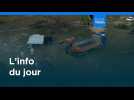 L'info du jour | 1er avril 2026 - Matin