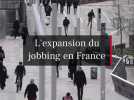 Le Jobbing en France : Salariés et Retraités en Quête de Compléments