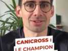 Sportifs - Aurélien Besnard et son chien Ulysse, champions de France de canicross : "C'est ma femme qui m'a fait découvrir ce sport"