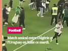 Les supporters algérien, véritable 12e homme, sur la pelouse à l'occasion du match amical Algérie-Uruguay
