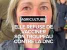 Elle refuse la vaccination de son troupeau contre la DNC