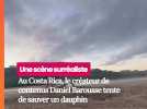 Au Costa Rica, un créateur de contenus sauve un dauphin échoué entouré de vautours