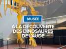 Les dinosaures de l'Aude au musée d'Espéraza